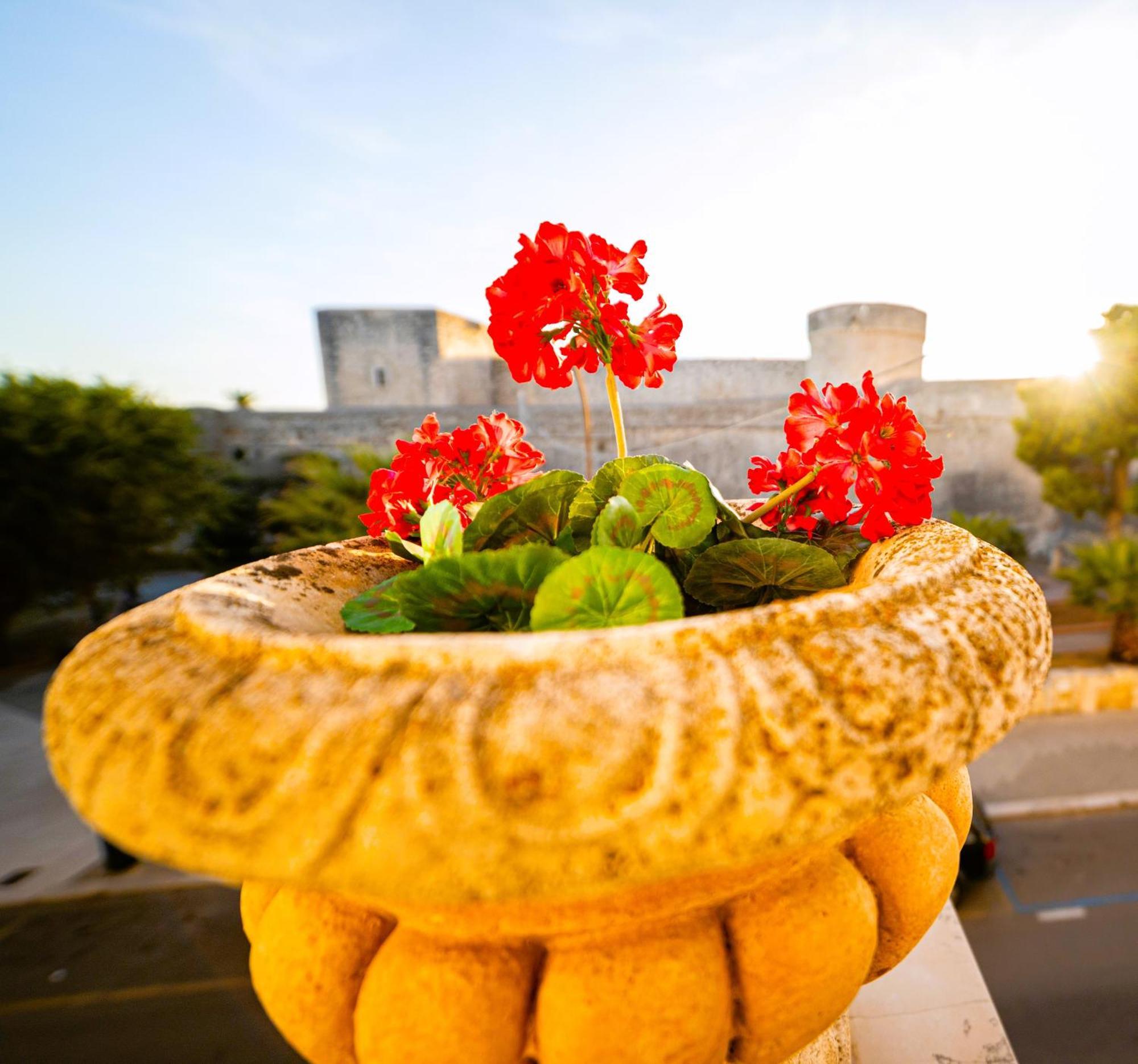 Mare E Castello Apartment มันเฟรโดเนีย ภายนอก รูปภาพ